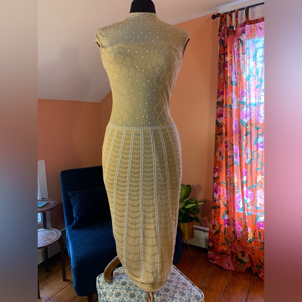 mermaid-like, sheer, nude, embellished, costume dress